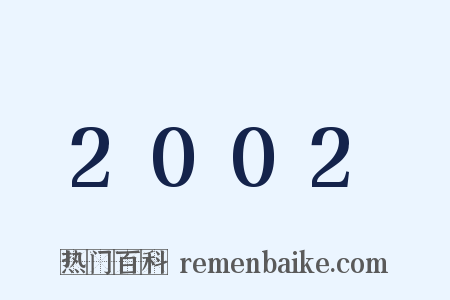 2002是什么意思的图片